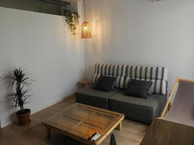 Alquiler 1 Dormitorio Apartamentos La Ermita La Ermita DS77949786