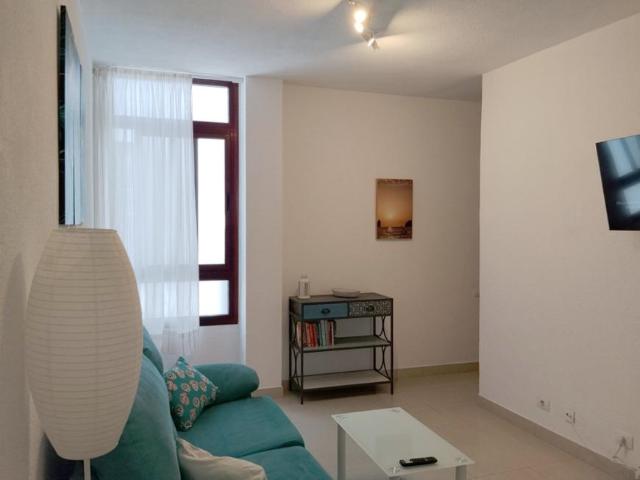 Alquiler 1 Dormitorio Apartamentos Las Palmas De Gran Canaria Las Palmas De Gran Canaria DS104890151