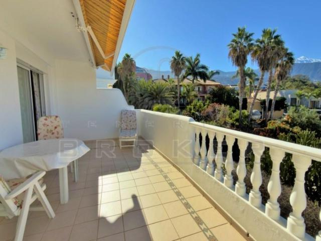 Alquiler 1 Dormitorio Apartamentos Puerto De La Cruz Puerto De La Cruz DS97735652