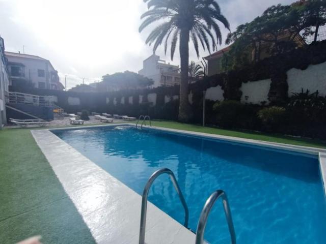 Alquiler 1 Dormitorio Apartamentos Puerto De La Cruz Santa Cruz De Tenerife DS102578776