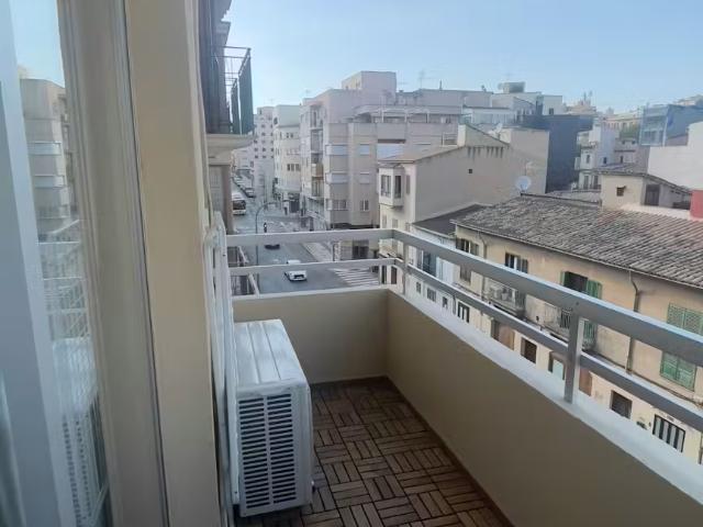 Alquiler 1 Dormitorio Apartamentos Palma Palma DLS97633857
