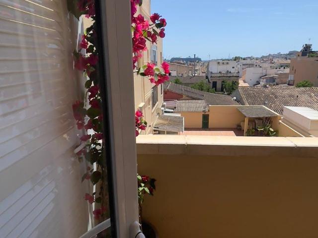 Alquiler 1 Dormitorio Apartamentos Palma Palma DS101775005