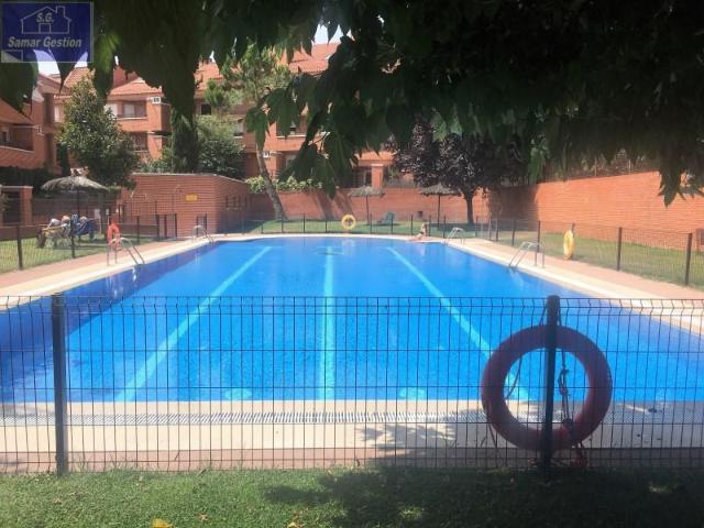Alquiler 1 Dormitorio Apartamentos Pozuelo De Alarcón Pozuelo De Alarcón DS102760631