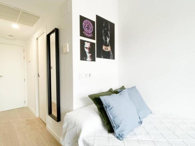 Alquiler 1 Dormitorio Apartamentos Salamanca Salamanca DS96347276