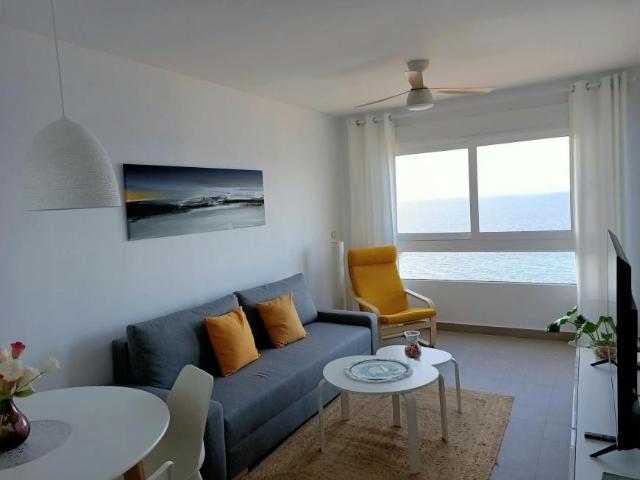 Alquiler 1 Dormitorio Apartamentos San Javier San Javier DS101775310