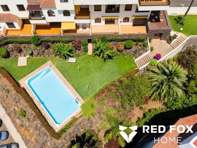 Alquiler 1 Dormitorio Apartamentos Santa Cruz De Tenerife Canary Islands DS104003447