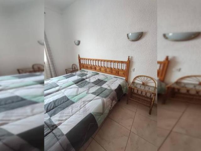 Alquiler 1 Dormitorio Apartamentos Santa Cruz De Tenerife Santa Cruz De Tenerife DLS101814876