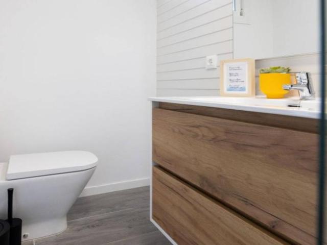 Alquiler 1 Dormitorio Apartamentos Santa Cruz De Tenerife Santa Cruz De Tenerife DLS101815752
