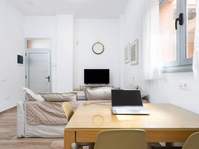 Alquiler 1 Dormitorio Apartamentos Santa Cruz De Tenerife Santa Cruz De Tenerife DS101794950