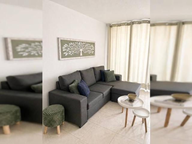 Alquiler 1 Dormitorio Apartamentos Santa Cruz De Tenerife Santa Cruz De Tenerife DS101732009