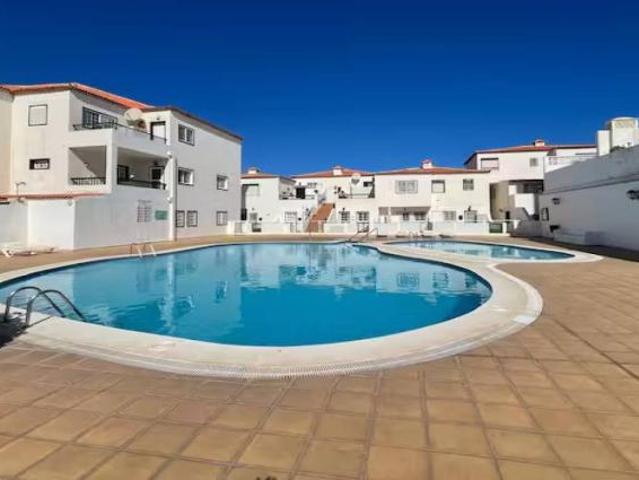 Alquiler 1 Dormitorio Apartamentos Santa Cruz De Tenerife Santa Cruz De Tenerife DS101814480