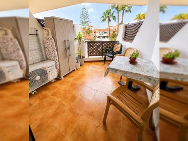 Alquiler 1 Dormitorio Apartamentos Santa Cruz De Tenerife Santa Cruz De Tenerife DS102147123