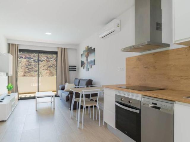 Alquiler 1 Dormitorio Apartamentos Santa Cruz De Tenerife Santa Cruz De Tenerife DS102471508