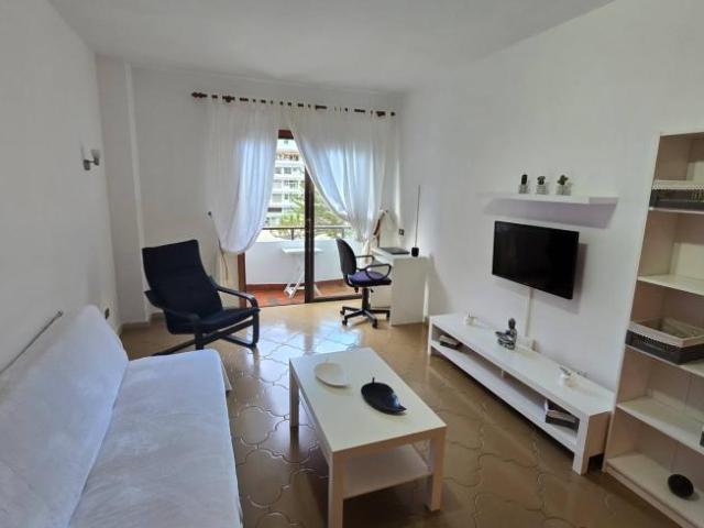 Alquiler 1 Dormitorio Apartamentos Santa Cruz De Tenerife Santa Cruz De Tenerife DS103490718
