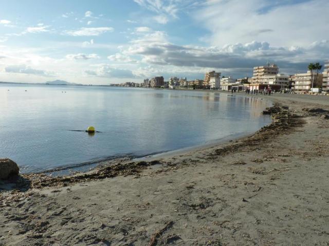 Alquiler 1 Dormitorio Apartamentos Santa Pola Santa Pola DS102813919