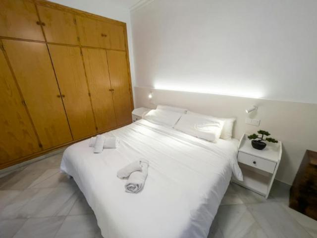 Alquiler 1 Dormitorio Apartamentos Sevilla Sevilla DLS95266125