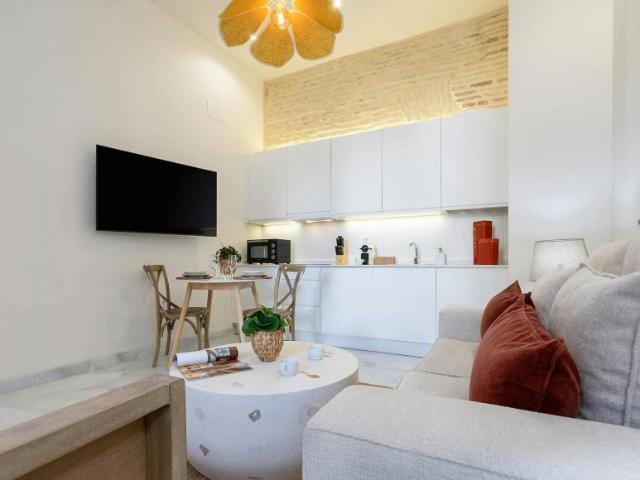 Alquiler 1 Dormitorio Apartamentos Sevilla Sevilla DLS99010694