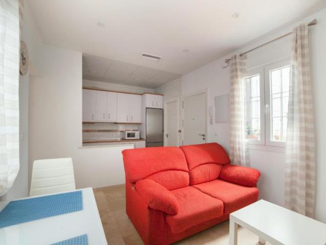 Alquiler 1 Dormitorio Apartamentos Sevilla Sevilla DS101223550