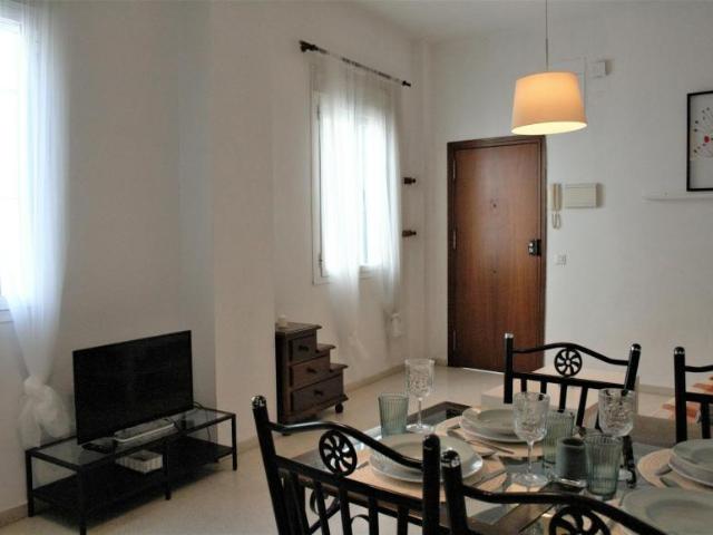Alquiler 1 Dormitorio Apartamentos Sevilla Sevilla DS101850151
