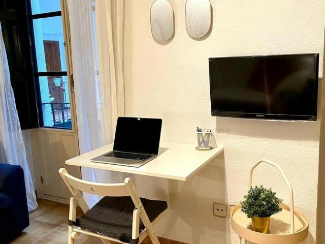 Alquiler 1 Dormitorio Apartamentos Sevilla Sevilla DS101988614