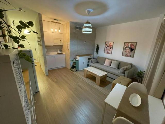 Alquiler 1 Dormitorio Apartamentos Sevilla Sevilla DS103061538