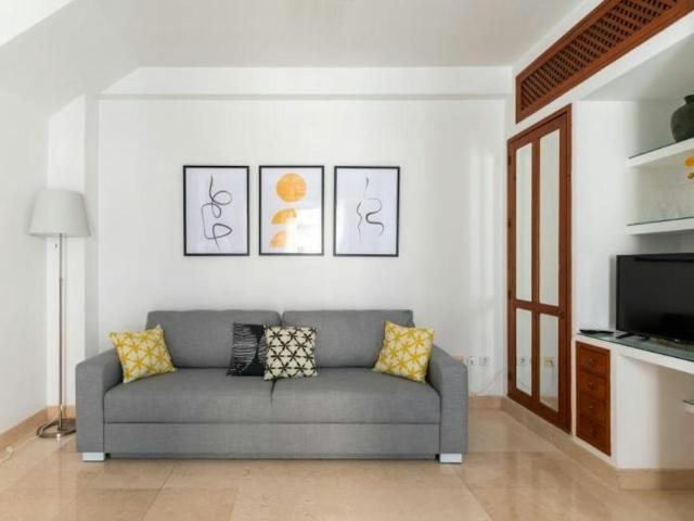 Alquiler 1 Dormitorio Apartamentos Sevilla Sevilla DS104640803