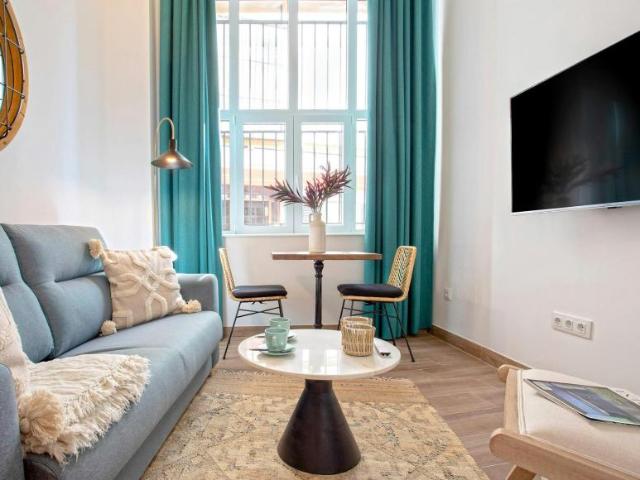 Alquiler 1 Dormitorio Apartamentos Sevilla Sevilla DS89932324