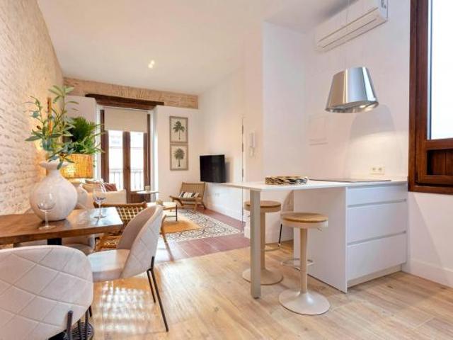 Alquiler 1 Dormitorio Apartamentos Sevilla Sevilla DS83398538