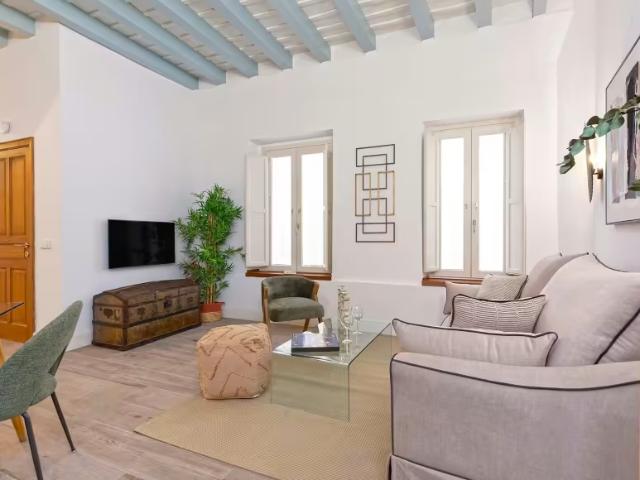 Alquiler 1 Dormitorio Apartamentos Sevilla Sevilla DS96345738
