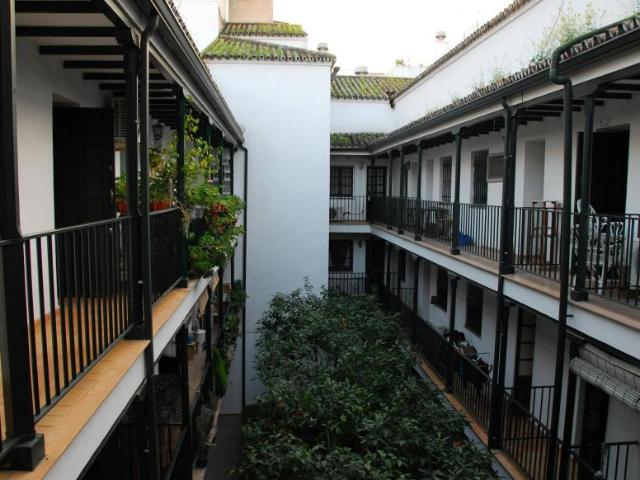 Alquiler 1 Dormitorio Apartamentos Sevilla Sevilla DS99085895