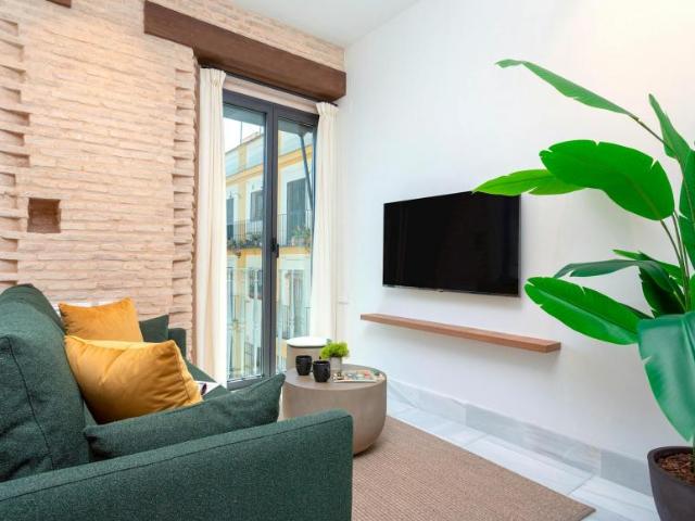 Alquiler 1 Dormitorio Apartamentos Sevilla Sevilla DS90758075
