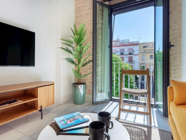 Alquiler 1 Dormitorio Apartamentos Sevilla Sevilla DS90758085