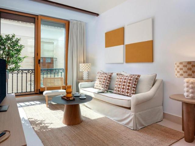 Alquiler 1 Dormitorio Apartamentos Sevilla Sevilla DS90758102
