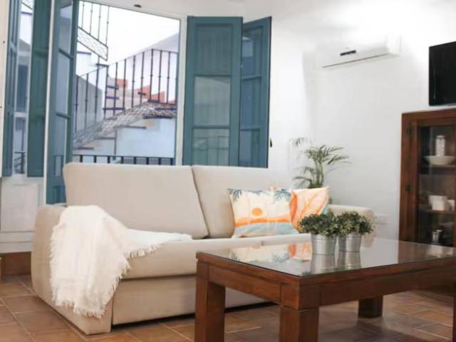 Alquiler 1 Dormitorio Apartamentos Seville Seville DLS98102970