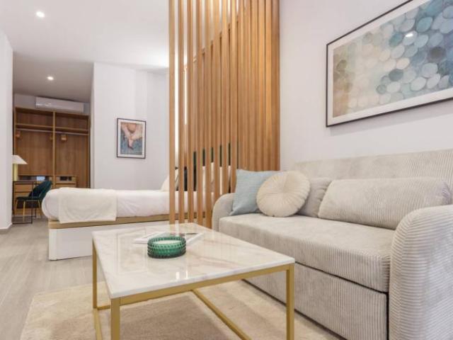 Alquiler 1 Dormitorio Apartamentos Seville Seville DLS100255341