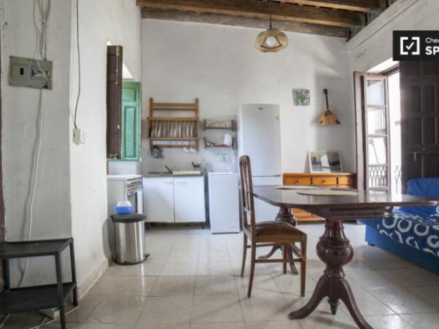 Alquiler 1 Dormitorio Apartamentos Seville Seville DS101849684