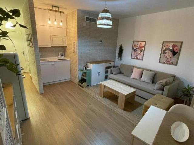 Alquiler 1 Dormitorio Apartamentos Seville Seville DS103063862