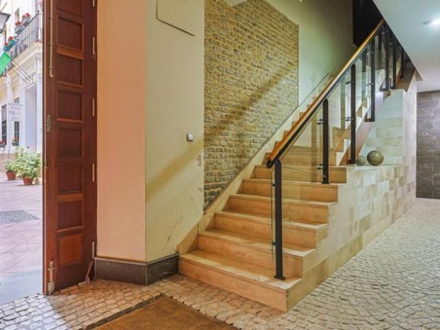 Alquiler 1 Dormitorio Apartamentos Seville Seville DS103371773
