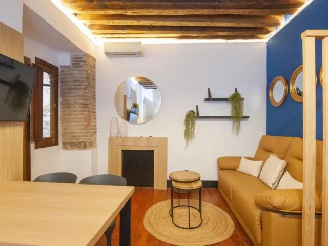 Alquiler 1 Dormitorio Apartamentos Toledo Toledo DS93980632