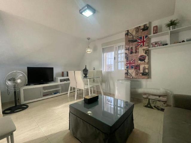 Alquiler 1 Dormitorio Apartamentos Torremolinos Torremolinos DS95113014