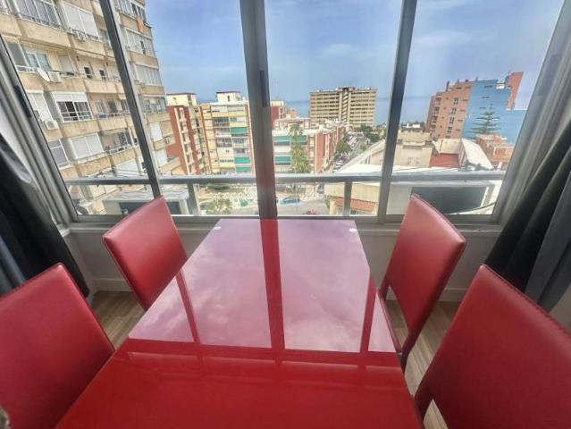 Alquiler 1 Dormitorio Apartamentos Torremolinos Torremolinos DS95113029