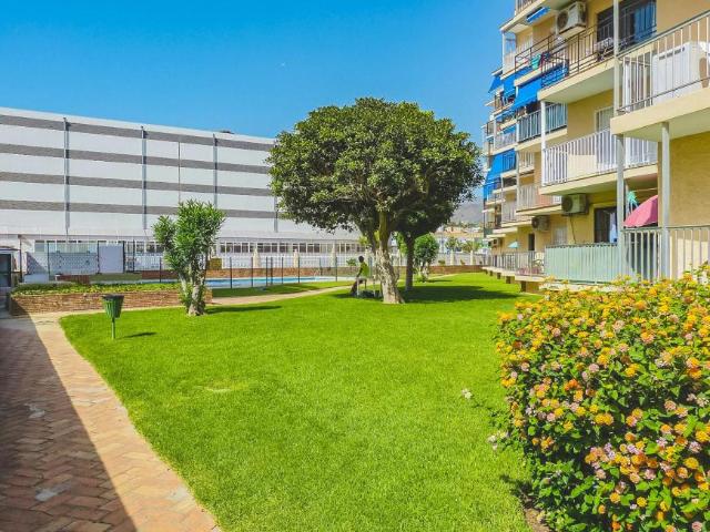 Alquiler 1 Dormitorio Apartamentos Torremolinos Torremolinos DS102308884