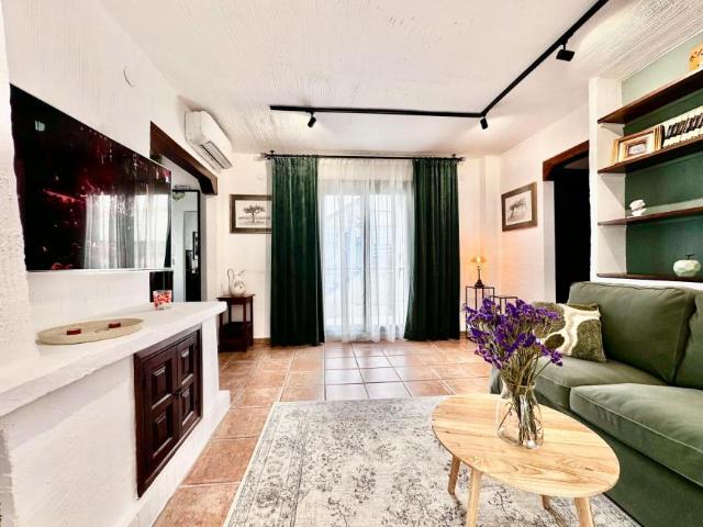 Alquiler 1 Dormitorio Apartamentos Torremolinos Torremolinos DS104225258