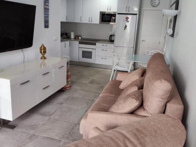 Alquiler 1 Dormitorio Apartamentos Torrevieja Torrevieja DS103696207
