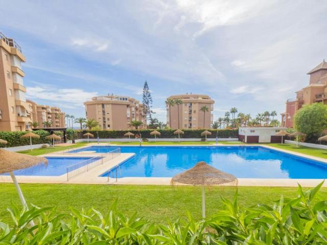 Alquiler 1 Dormitorio Apartamentos Torrox Torrox DS102771754