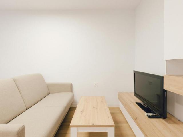 Alquiler 1 Dormitorio Apartamentos Valencia Valencia DS104258271