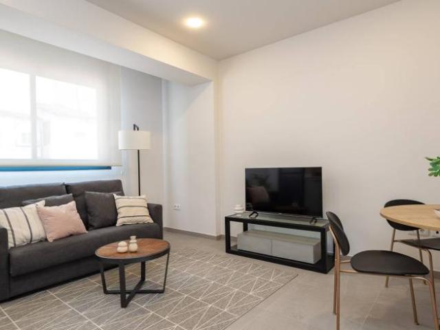 Alquiler 1 Dormitorio Apartamentos Valencia Valencia DS104800694