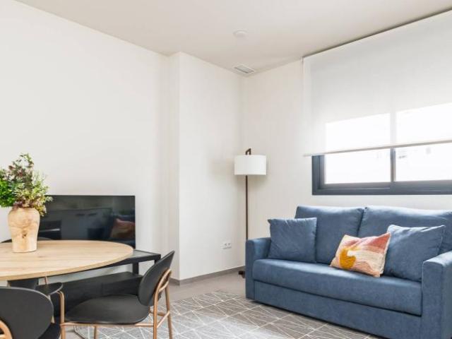 Alquiler 1 Dormitorio Apartamentos Valencia Valencia DS104800769