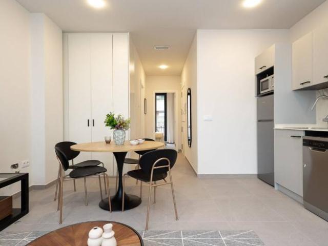 Alquiler 1 Dormitorio Apartamentos Valencia Valencia DS104801938