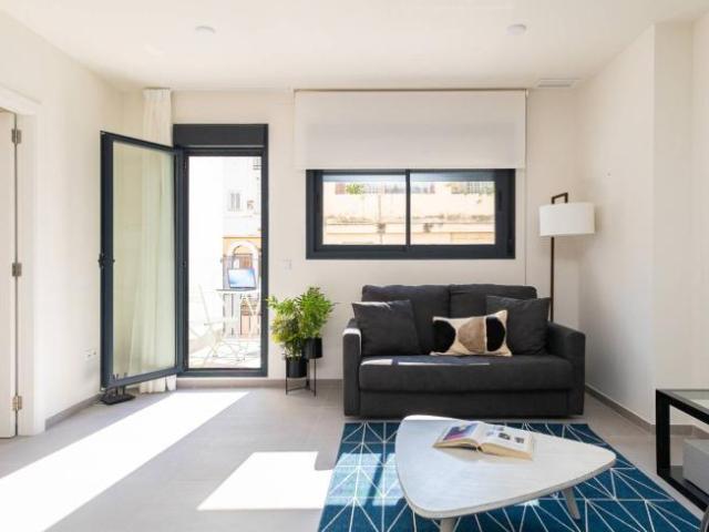 Alquiler 1 Dormitorio Apartamentos Valencia Valencia DS104802727